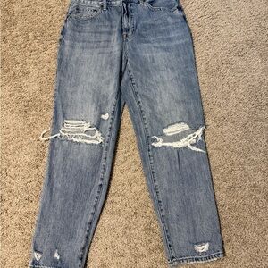 Pistola Light Blue Distressed Jeans